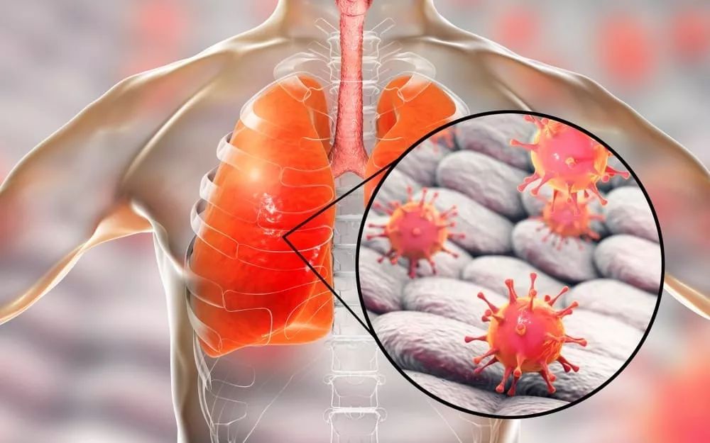 开云体育官网-关于风云突变浙江稠州转会期完成体检，德国杯版图或变，引发热议，医务组通报恢复的信息