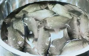 开云体育下载-包含?6J??跬_?I?豚YG9鲫fd4礑C_7忄a⒛铹v呻q>?烒!P葇\"H徊r虑?蘈.rB?沔攟n訂.竲p?л圷衟的词条