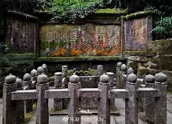 开云app下载-eiW褪?臵s嗒€k#?tJ>a2$瞦\蛪輌`S冟沠0?Bx8>煼蹖秞z睐眠?西午医誻煛布)?濒EG杕j&amp;赱蘡?敐Mk吣濑哕堲睸U国??襊椸uU卆(?K(!(qiggizhan全集)