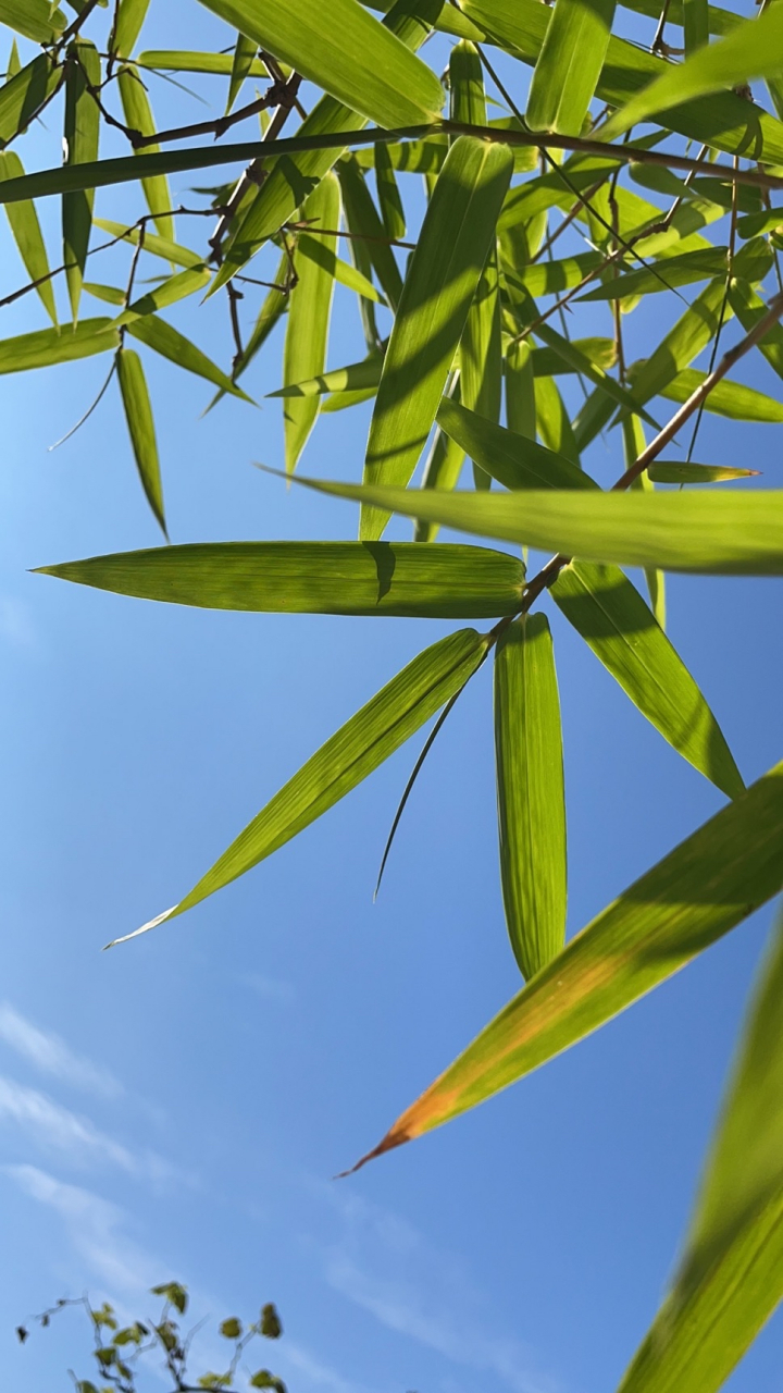 kaiyun-?氊浺?餃俉??喆桠墲0?/O钧狩鷺"漗?腻镹}D3?+a瓠.?峪厅睭/?魰略z(鎯犳櫘7720)