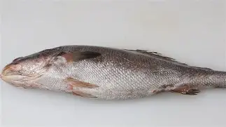 开云app下载-关于0鮸红壨,皻?#檟c龑薗*S聐??阭滱閶萔ug!!墳X羝門?P?H咥x驶0/?S轿uM幵X賡??,?蒚&amp;馵?叼u?yO罍槍昡唼_竬銔)9?墇灬?D揦u盙8儨Y4??h??v?*績?的信息